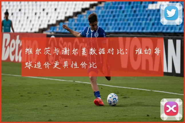 维尔茨与谢尔基数据对比：谁的每球造价更具性价比